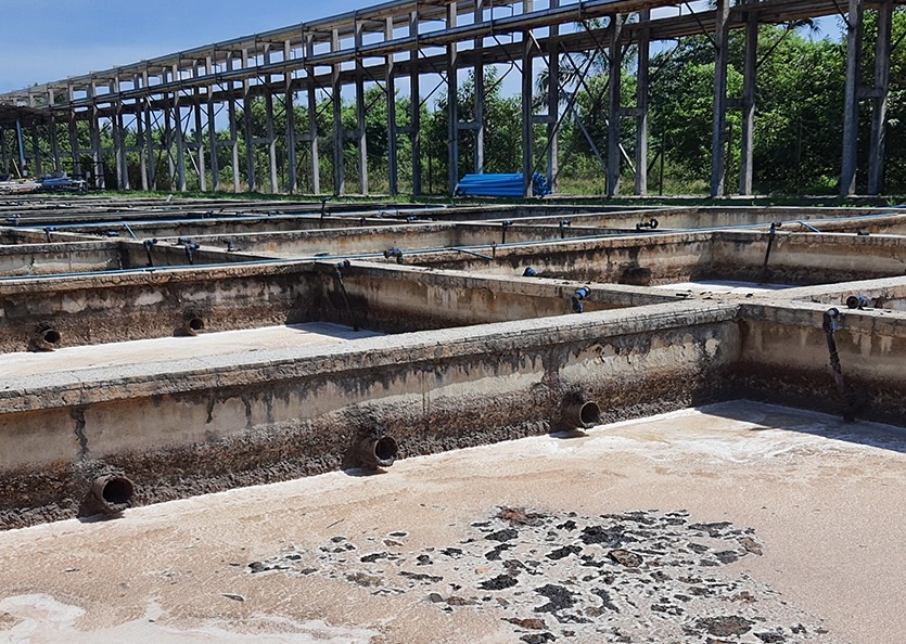 From Waste to Resource: How Sewage Treatment Protects Our Ecosystems